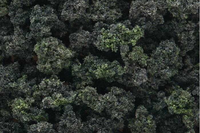 Zmes lesných kríkov (Bushes Forest Blend Bag) - FC149