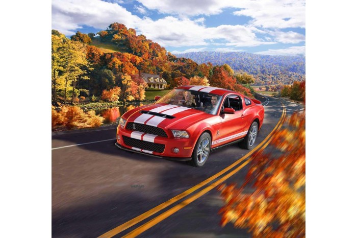 Model Set auto 67044 - 2010 Ford Shelby GT 500 (1:25)