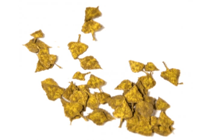 Brezové lístie jeseň (Birch autumn) - 1:35 - 8102