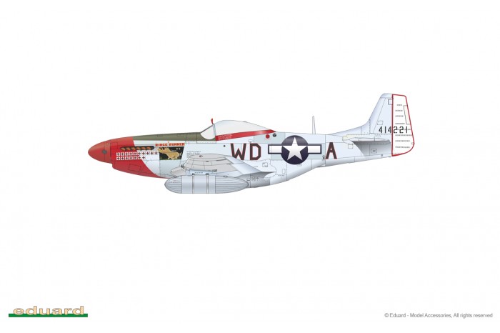 P-51D Mustang (1:48) - 82102