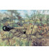 WWII - GERMAN PAK40 AT GUN & CREW (1:72) - 6096
