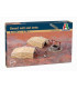 Desert Well and Tents (1:72) - 6148