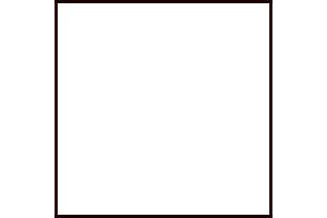 4696AP - Gloss White 20ml - akryl