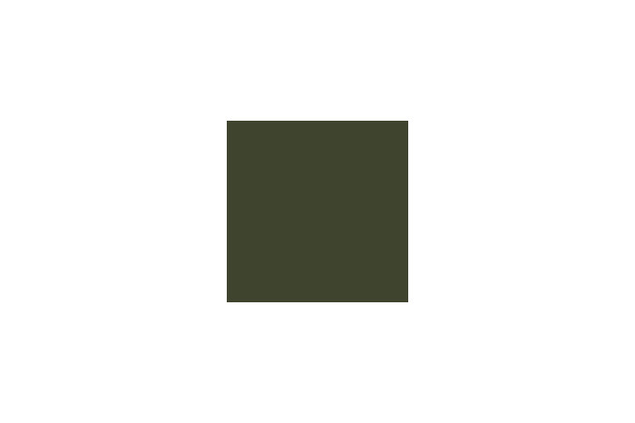 4842AP - Flat Olive Drab Ana 613 20ml - akryl