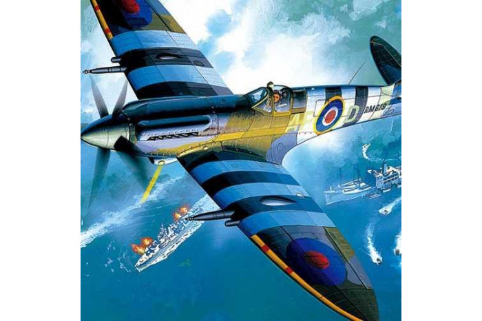 SPITFIRE MK.XIV-C (1:48) - 12274