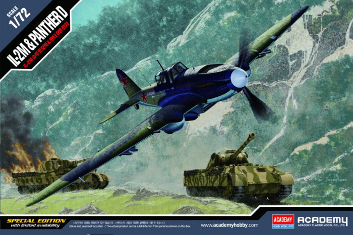 IL-2M & PANTHER D (1:72) - 12538
