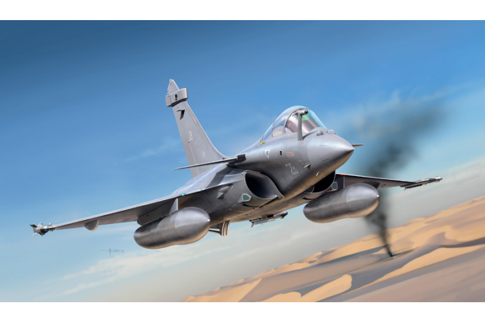 RAFALE M OPERATIONS EXTERIEURES 2011 (1:72) - 1319