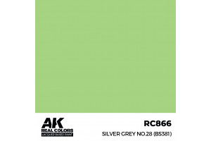 Silver Grey No.28 (BS381) - RC866