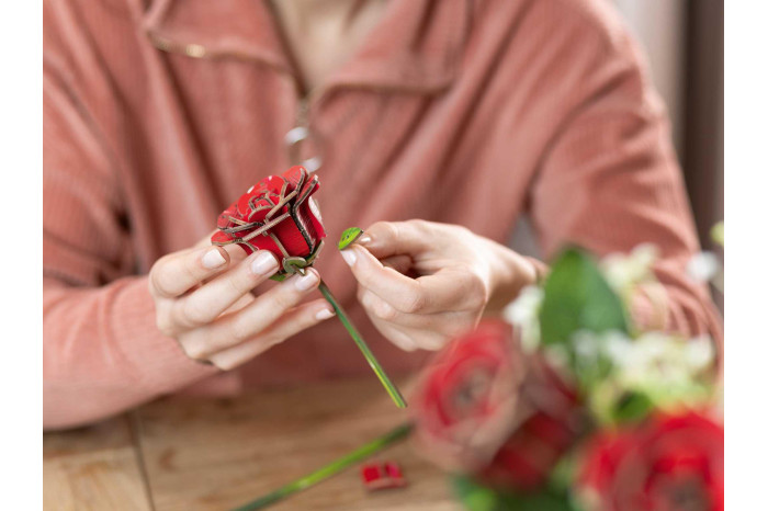 REVELL Flowers 00631 - Dream of Roses