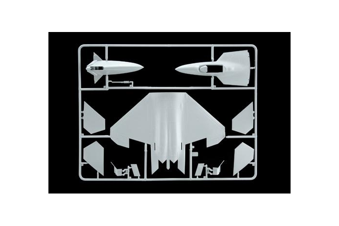 Model Kit letadlo 1207 - F-22 RAPTOR (1:72)